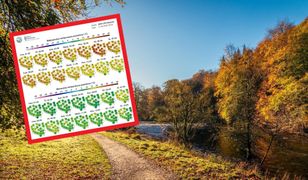 Pogoda na pierwszy weekend września. Czeka nas spadek temperatury