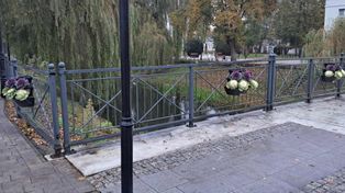 Pułtusk: Kto okradł jesienne dekoracje? Sprawcy poszukiwani