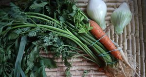 Jaka jest prawidłowa odpowiedź?