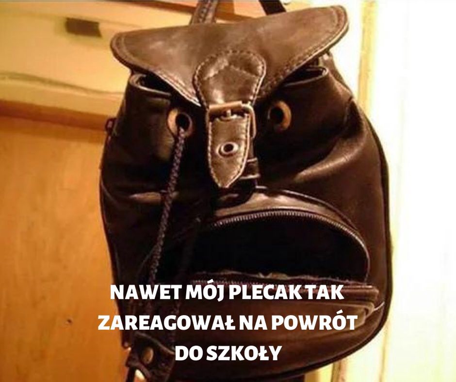 memy internet internauci koronawirus szkola powrot do szkoly