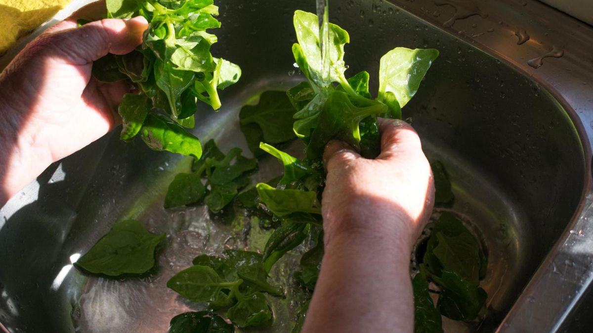 Świeży szpinak spowodował halucynacje, zimne poty i gorączkę.