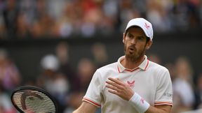 Euro 2020. Szkocja odpadła, ale Andy Murray ma komu kibicować. Widzi duże szanse Anglii