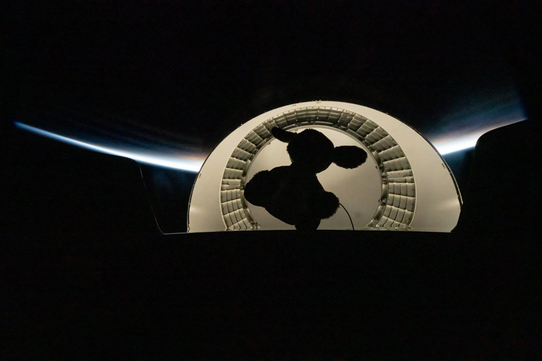 Zdjęcia Ziemi z turystycznego lotu w kosmos. To wyżej niż poziom ISS 4