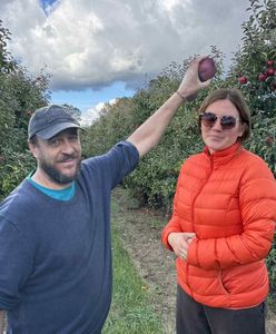 Tanie jabłka robią furorę. "Mamy pana z Mazur, który sam zbiera 400 kg"