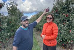 Tanie jabłka robią furorę. "Mamy pana z Mazur, który sam zbiera 400 kg"