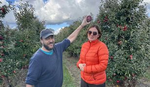 Tanie jabłka robią furorę. "Mamy pana z Mazur, który sam zbiera 400 kg"