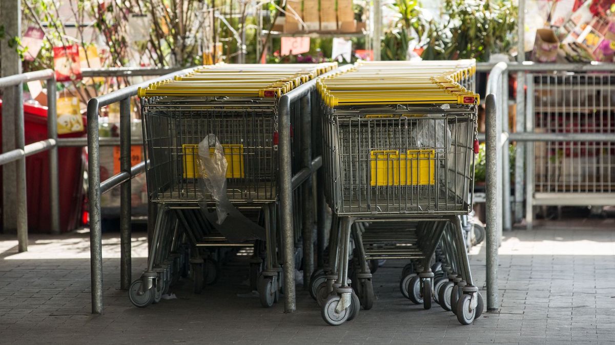 Biedronka wózek zakupowy sklep