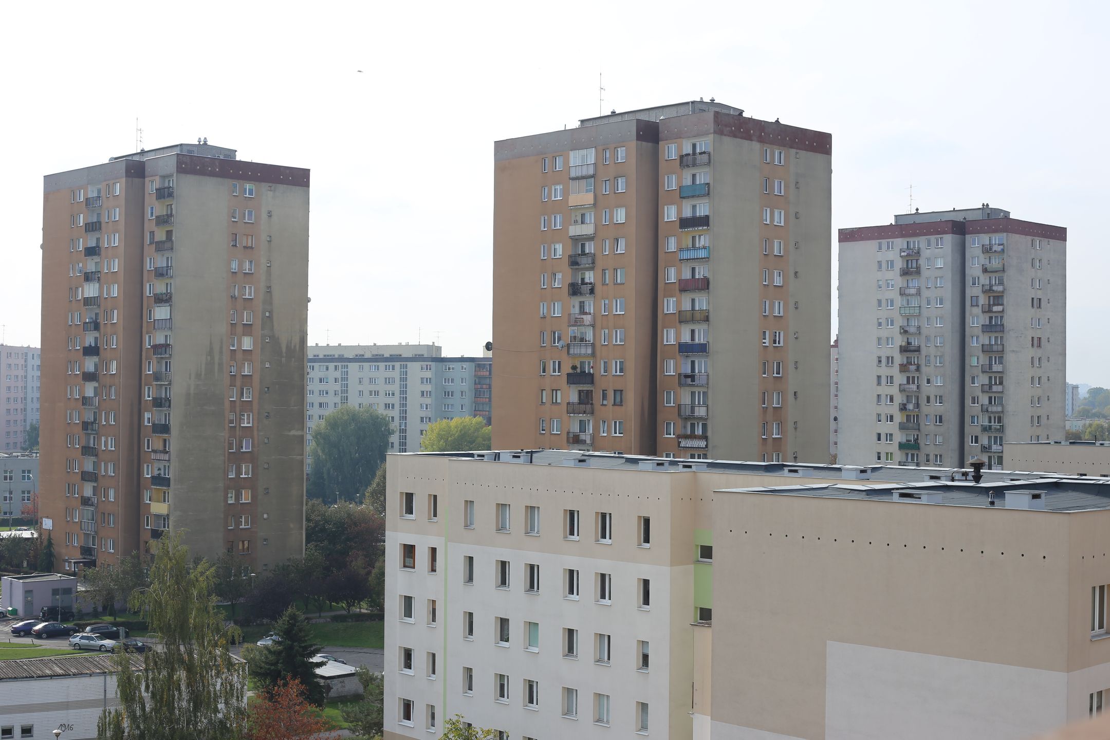 Canon EF 50 mm f/1.8 STM - niedroga przepustka do poważnej fotografii [recenzja] 67
