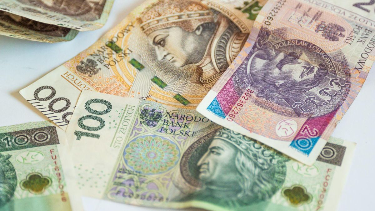 W sierpniu wprowadzone zostaną nowe terminy wypłat rent wdowich 