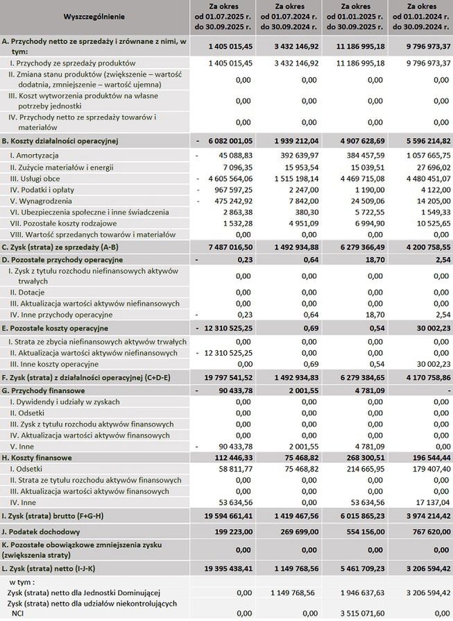 Wyniki finansowe Red Carpet Media Group