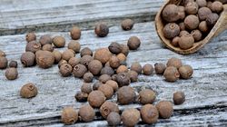 Korzennik lekarski - uprawa, właściwości i działanie