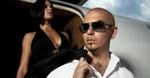 Pitbull nagrywa i imprezuje z pingwinami