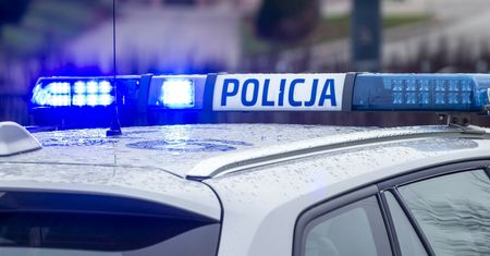 Brutalnie zabił własne psy. "Za głośno szczekały"
