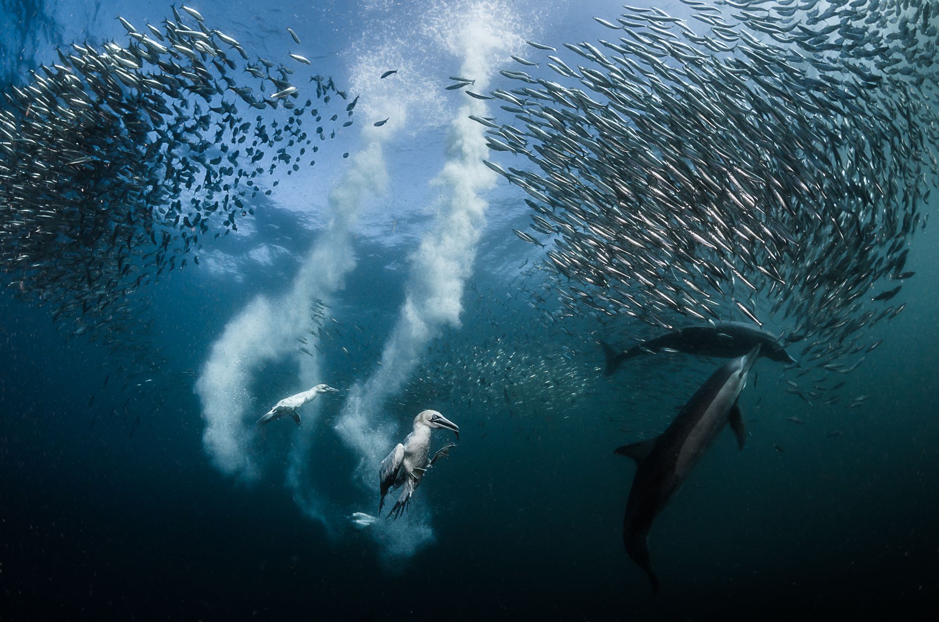 Polak laureatem Siena International Photo Awards 2016 5