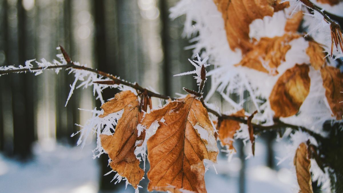 Przymrozki zrekompensuje nam jednak słońce, którego w czwartek nie powinno zabraknąć
