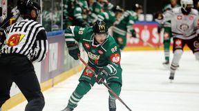 Rusza Tauron Hokej Liga. Dziesięć drużyn w grze