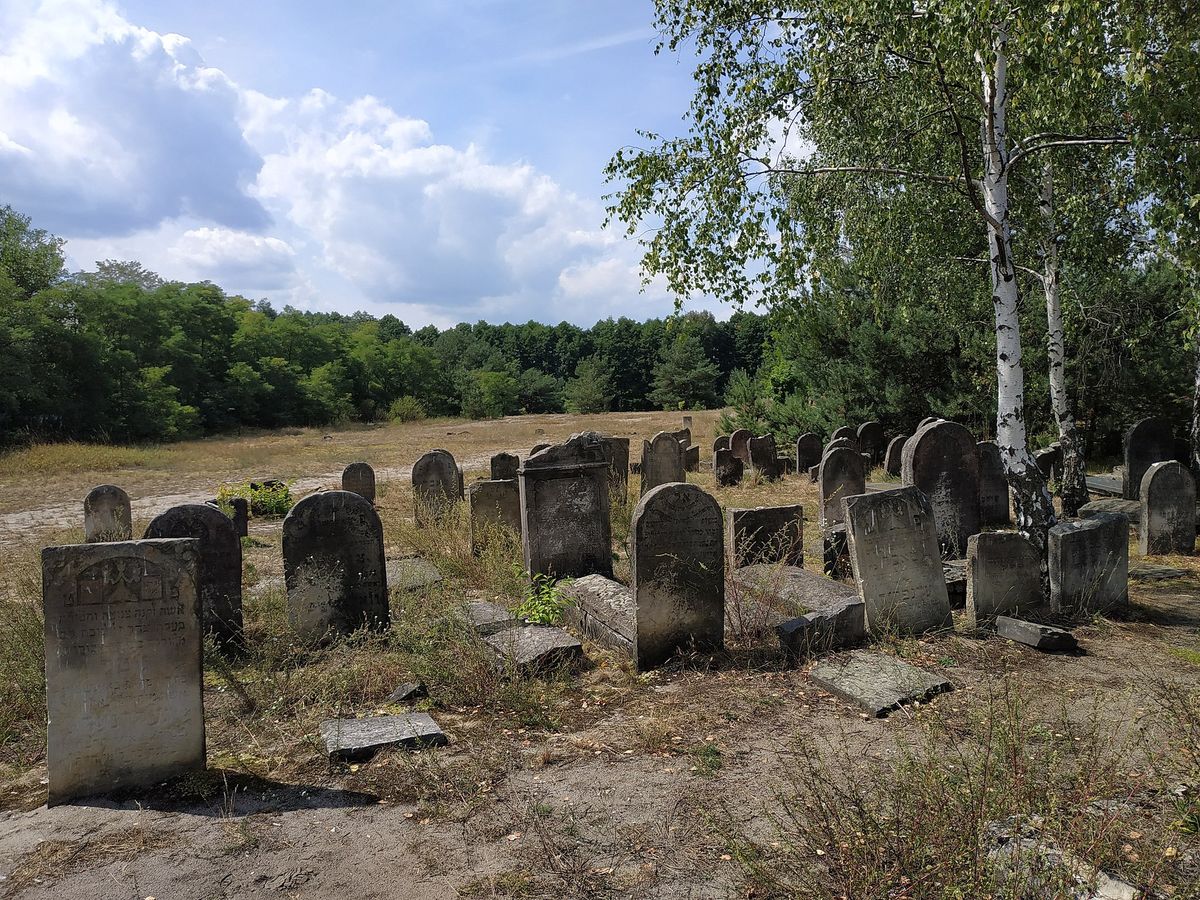 Cmentarz żydowski w Żarkach (Wikimedia Commons)