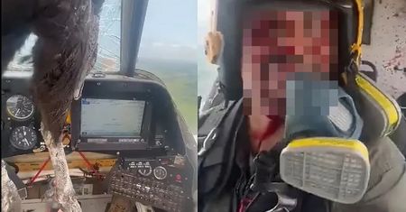 Ogromny ptak przebił szybę w samolocie. Pilot zachował zimną krew