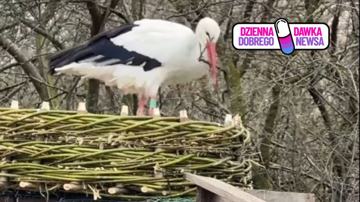 Wyjątkowe nagranie z ośrodka