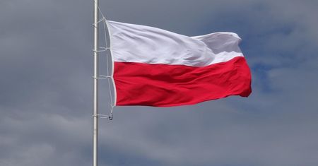 Prawda czy fałsz. Wiesz wszystko o Polsce? Mniej niż 8/10 to wstyd