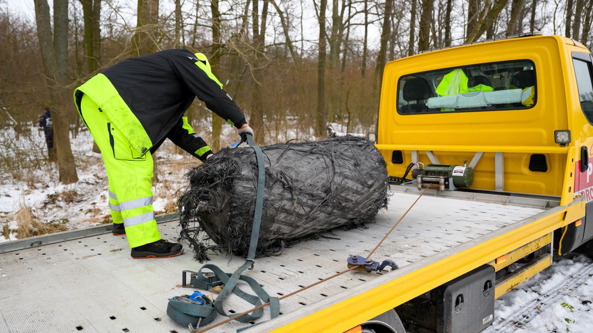 Szczątki rakiety Falcon 9 spadły pod Poznaniem