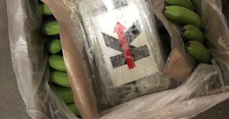 Niespodzianka w skrzynkach z bananami. Nieudany przemyt do Niemiec