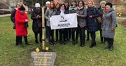 Drzewo Kobiet posadzone w Chodzieży