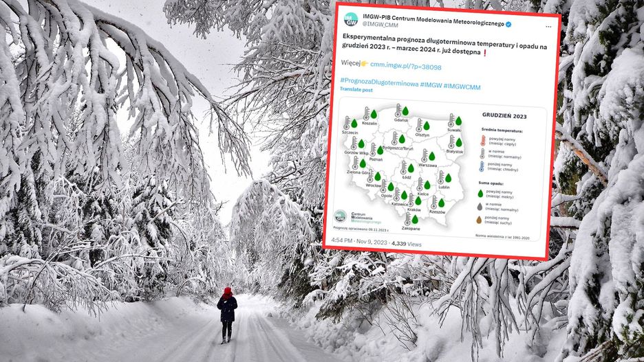 Pogoda na zimę. IMGW przedstawił eksperymentalne prognozy