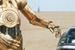 R2-D2 i C-3PO z ''Gwiezdnych wojen'' nie są przyjaciółmi