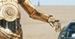 R2-D2 i C-3PO z ''Gwiezdnych wojen'' nie są przyjaciółmi