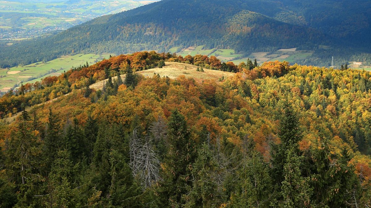 Widok z wieży widokowej na szczycie Mogielicy na Beskid Wyspowy. Zdjęcie ilustracyjne