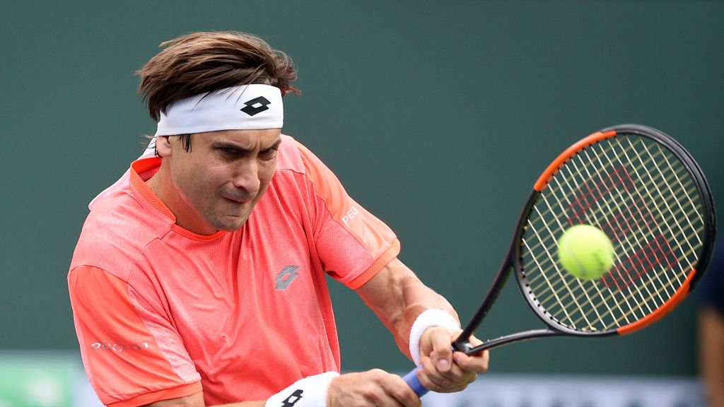 Zdjęcie okładkowe artykułu: Getty Images / Kevork Djansezian / Na zdjęciu: David Ferrer