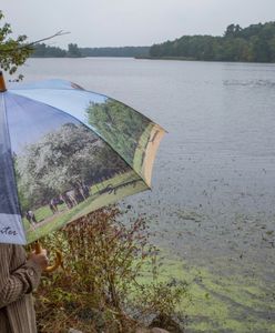 Spadnie deszcz. IMGW wydał ostrzeżenia