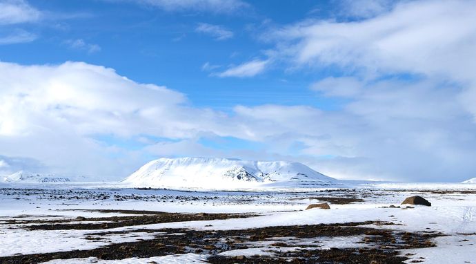 Przedziwna planeta Ziemia