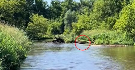 Poszła nad rzekę. Nagle taki widok. Otoczyły ją z każdej strony