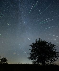 Drakonidy 2023. Noc spadających gwiazd w październiku nadchodzi
