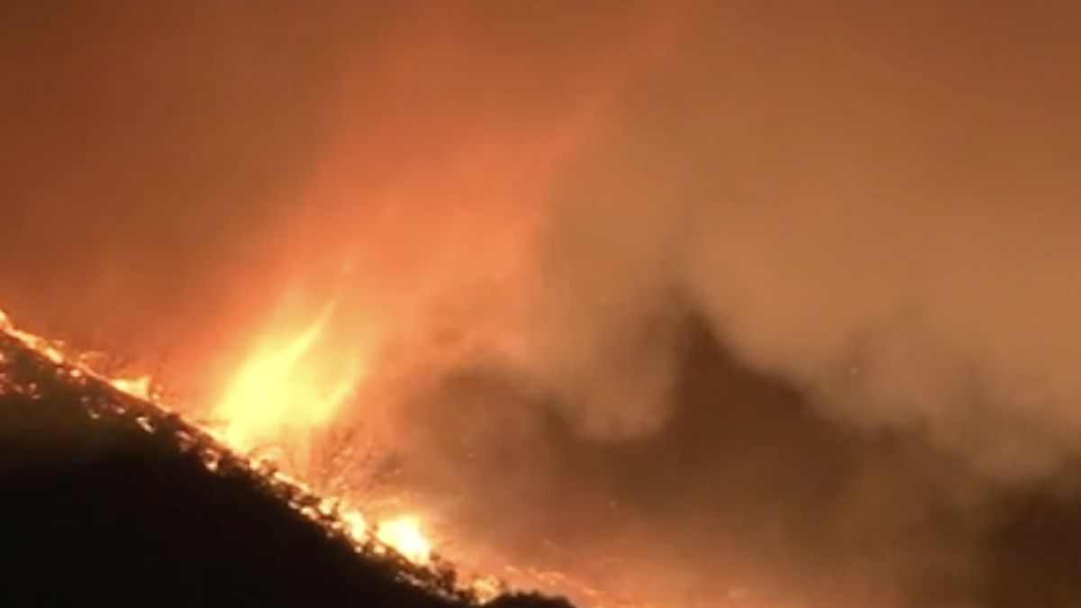 Pożarom w Los Angeles towarzyszą często niezwykłe i bardzo