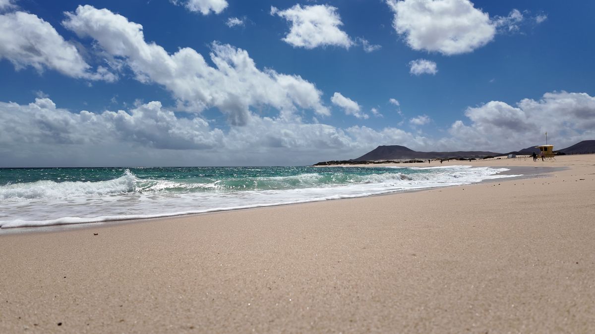 Plaża przy wydmach Corralejo w słoneczny dzień