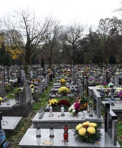 Cmentarne trendy. Jakich nagrobków szukają Polacy?