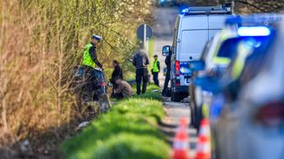 Wjechał w Litewkę, a potem w drzewo. Nowe informacje