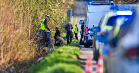 Wjechał w Litewkę, a potem w drzewo. Nowe informacje