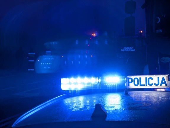 "Obcy na karimacie wśród traw" – prostecy dzielnicowi zatrzymali nielegalnego imigranta ukrywającego się na łące