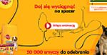 Gdzie na spacer z psem? Wartość dodana promocji Pedigree