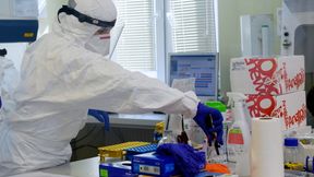 Koronawirus. Sanepid: Polski trener zaraził się chorobą w USA