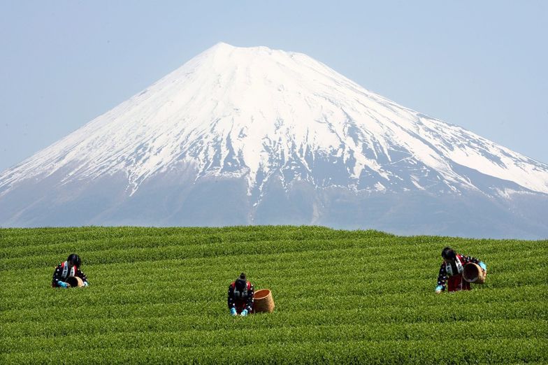 Lista UNESCO. Góra Fudżi w Japonii została wpisana na liste dziedzictwa