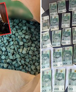 Gang pseudokibiców rozbity. Przemycili ponad 2,5 tony narkotyków