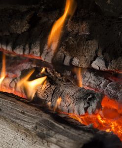 Wartość opałowa drewna. Czym najlepiej palić w kominku?