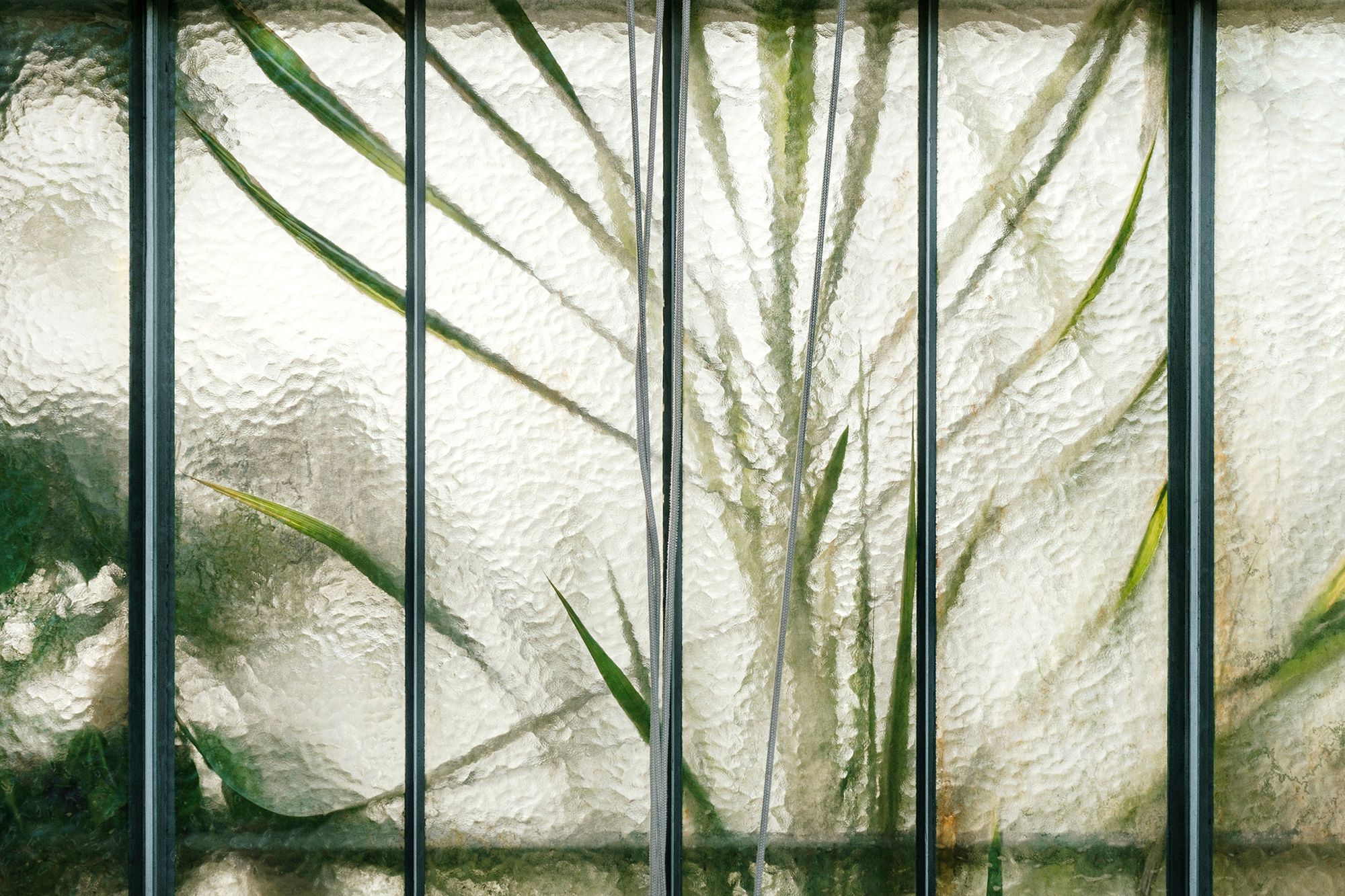 "Botanical", czyli szklane domy Samuela Zellera 2