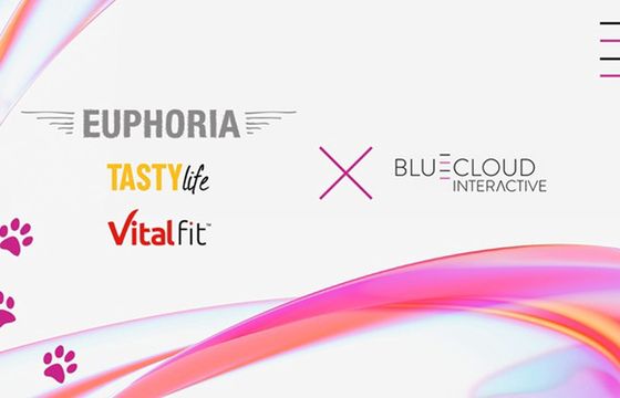 Bluecloud Interactive zadba o obsługę digital BioFeed
