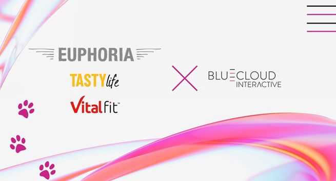 Bluecloud Interactive zadba o obsługę digital BioFeed